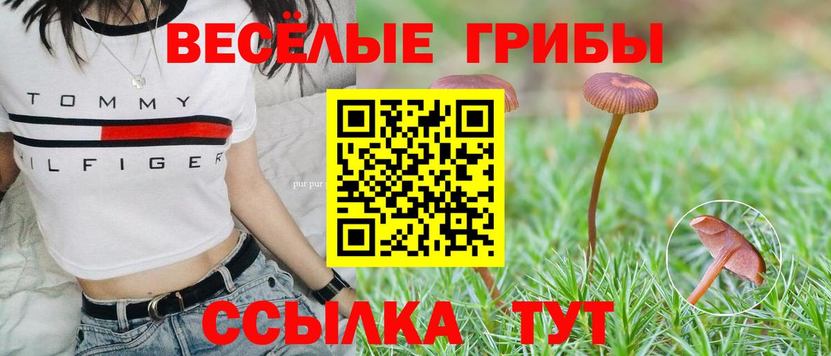 дарнет шоп  Галлюциногенные грибы мицелий  Вход с VPN  Будённовск  Псилоцибиновые грибы Psilocybine cubensis 